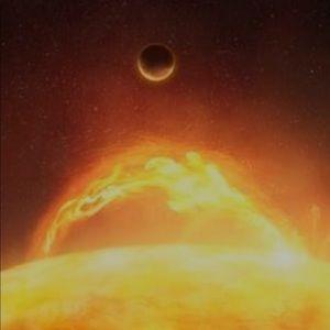 Meet your Posher, Austin